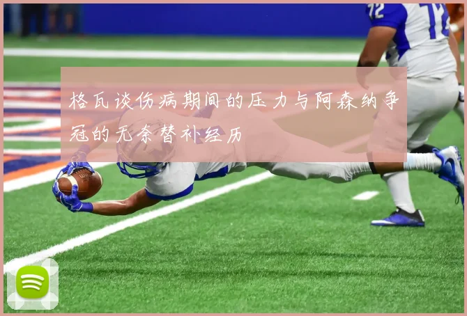 格瓦谈伤病期间的压力与阿森纳争冠的无奈替补经历